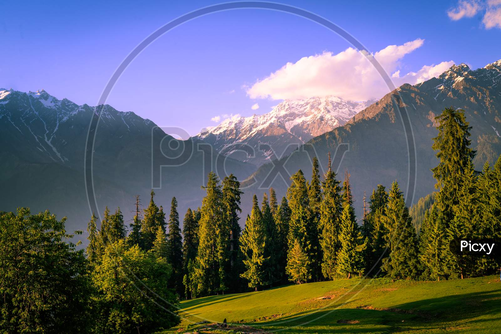 Scenic alpine medow in Himalaya