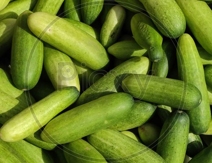 Fresh Cucumber.