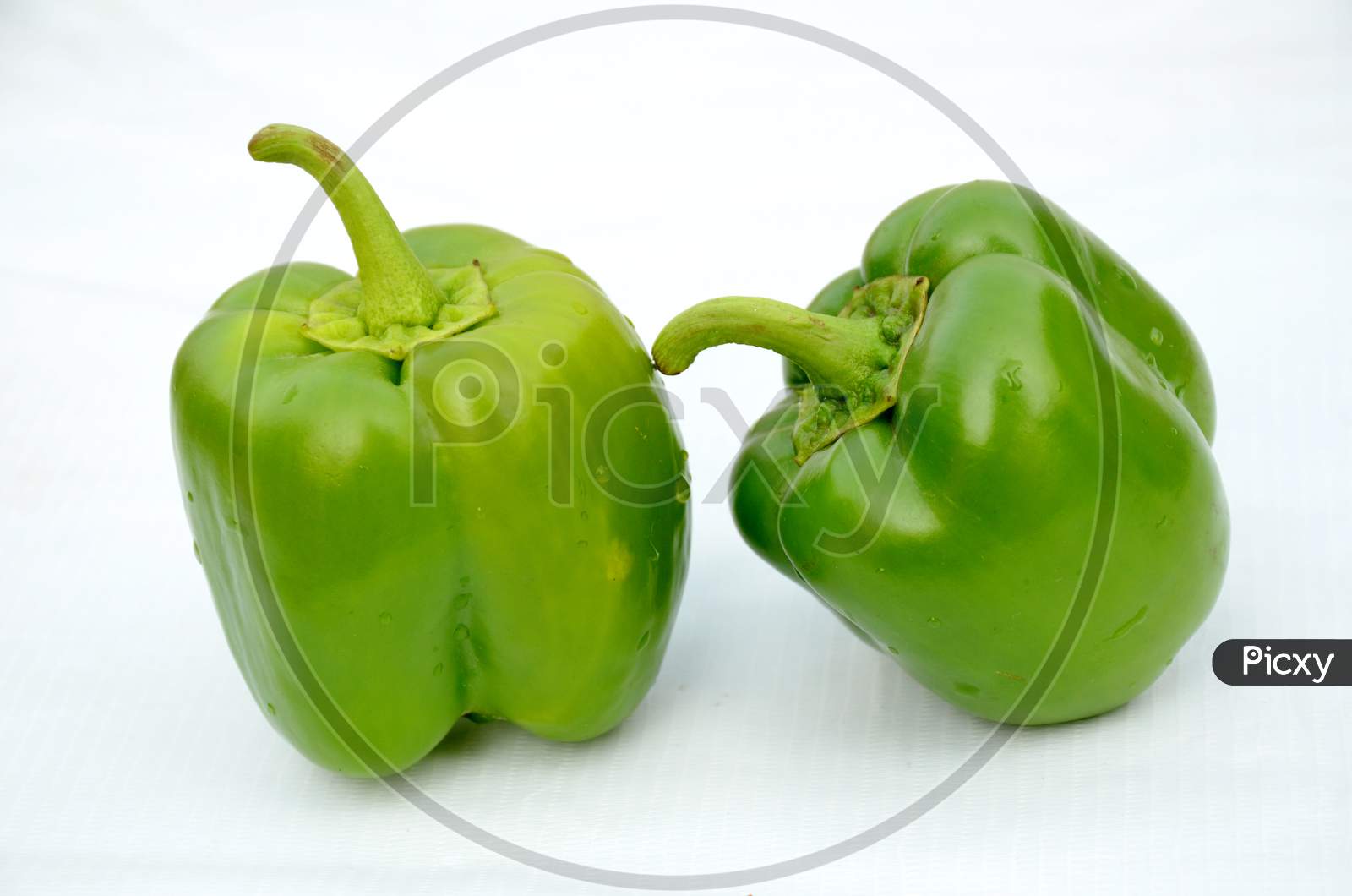 the pair green ripe capsicum  isolated on white background
