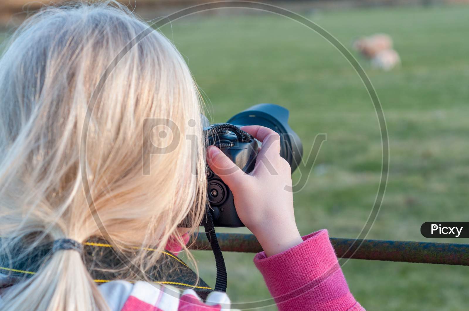 View Over The Shoulder Of A Young Blonde Girl Taking A Photograph With A Large Camera