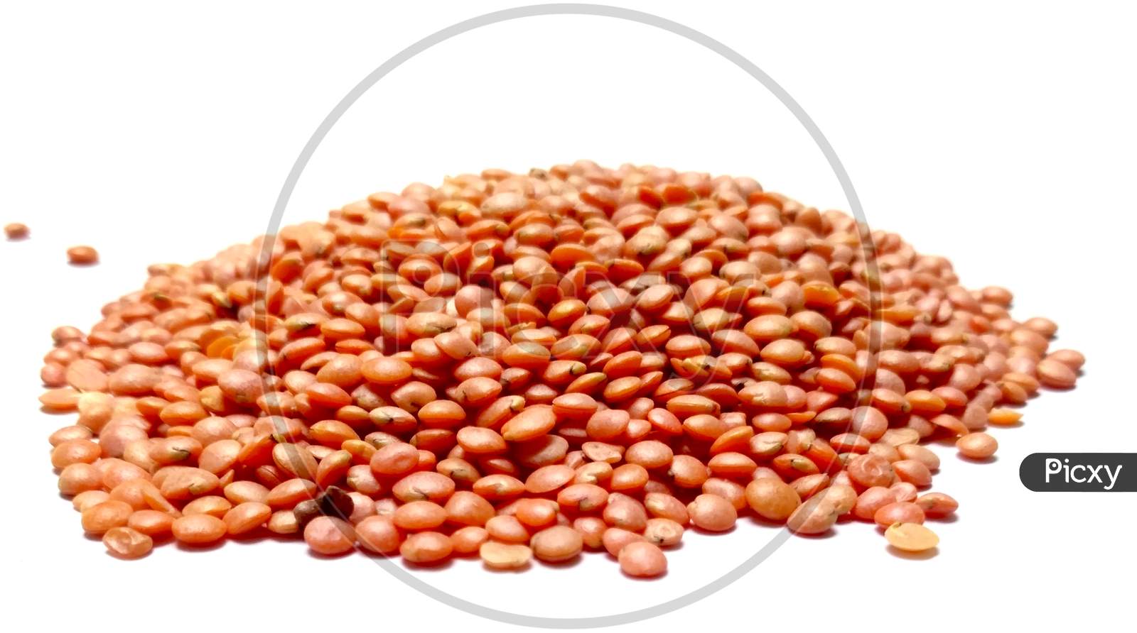 Red Lentils Or Masoor Dal Isolated On White Background