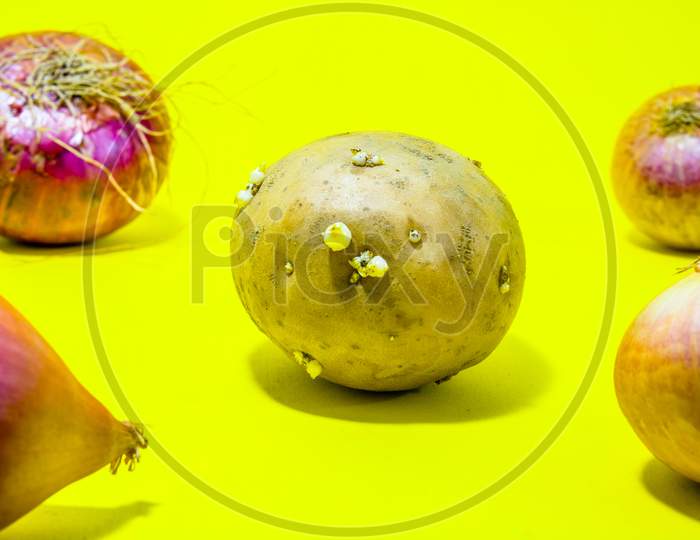 Potato surrounded by onions