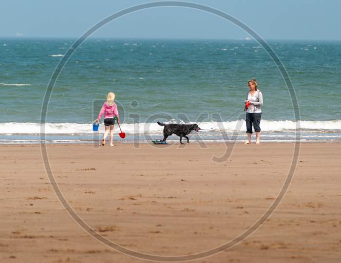 Mother And Daughter Walk A Dog Along The Water'S Edge On A Sandy Beach On A Sunny Day