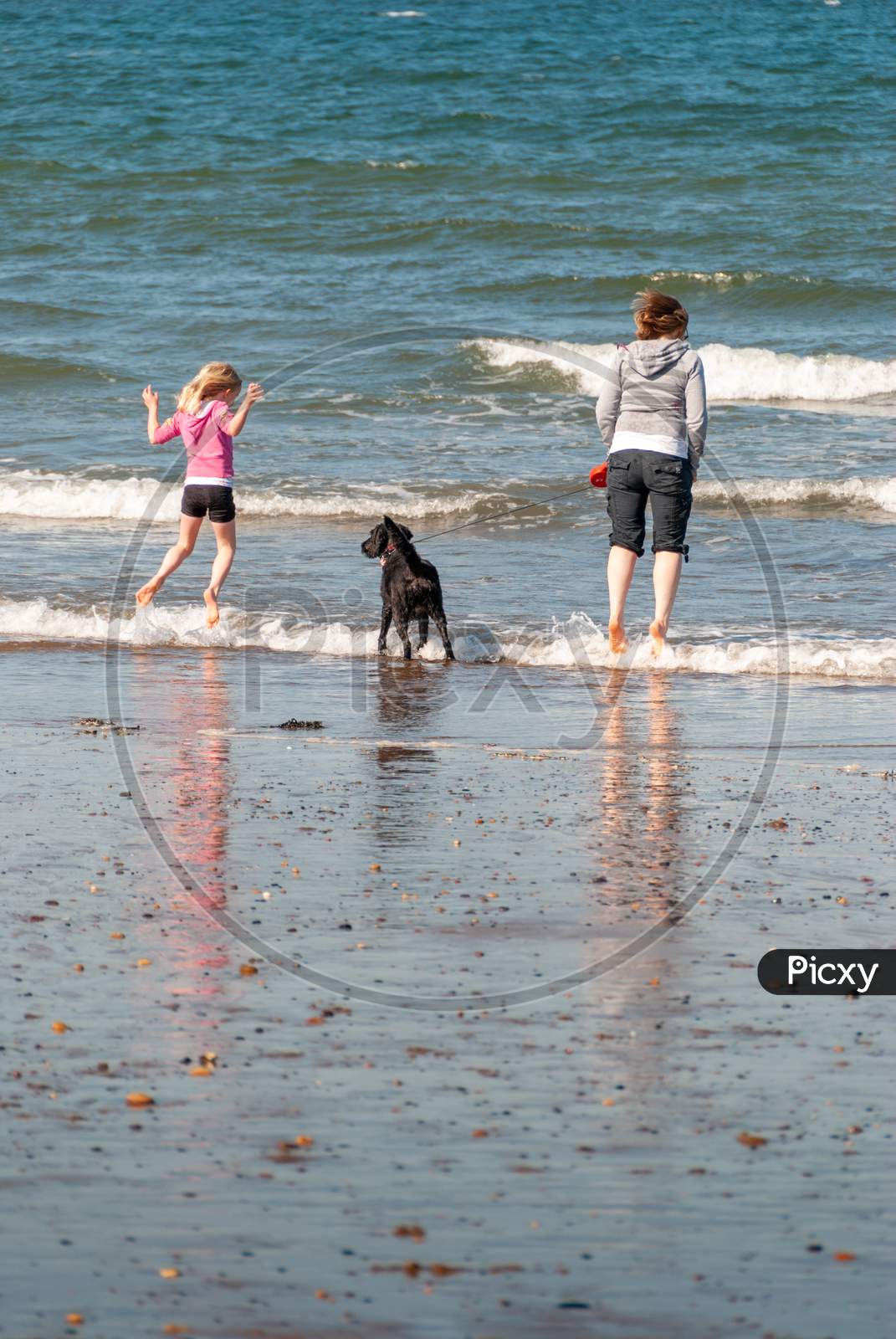 A Mother And Daughter With A Dog Jump Over The Breaking Waves On A Beach
