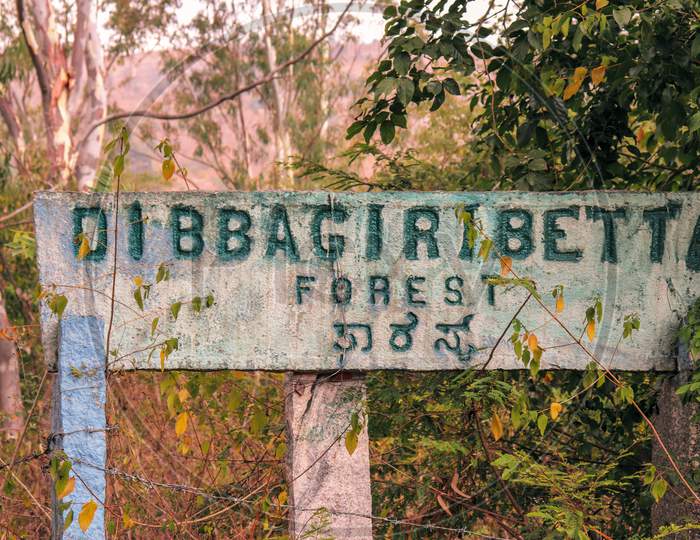 Dibbagiri Betta Forest Signboard Near Nandi Hills Karnataka.