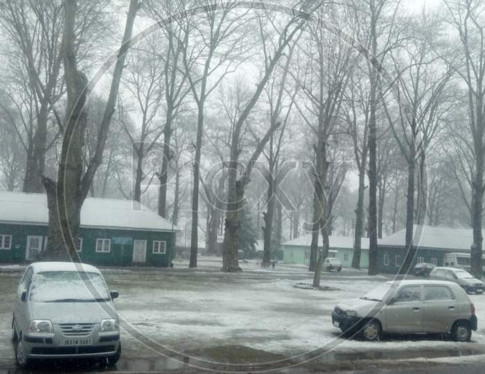 Snow Falling In Kashmir University Vehicles Stuck Plants