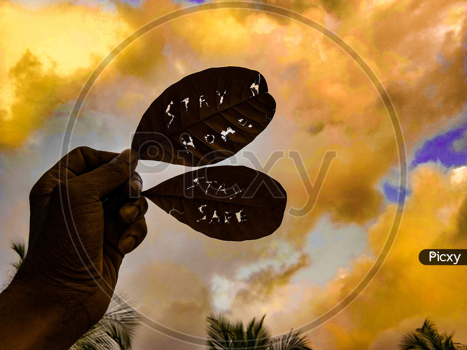 stay home stay safe carved on a dried leaf along with an closed lock placed towards bright blue sky and green background , corona pandemic lock down concept,home quarantine