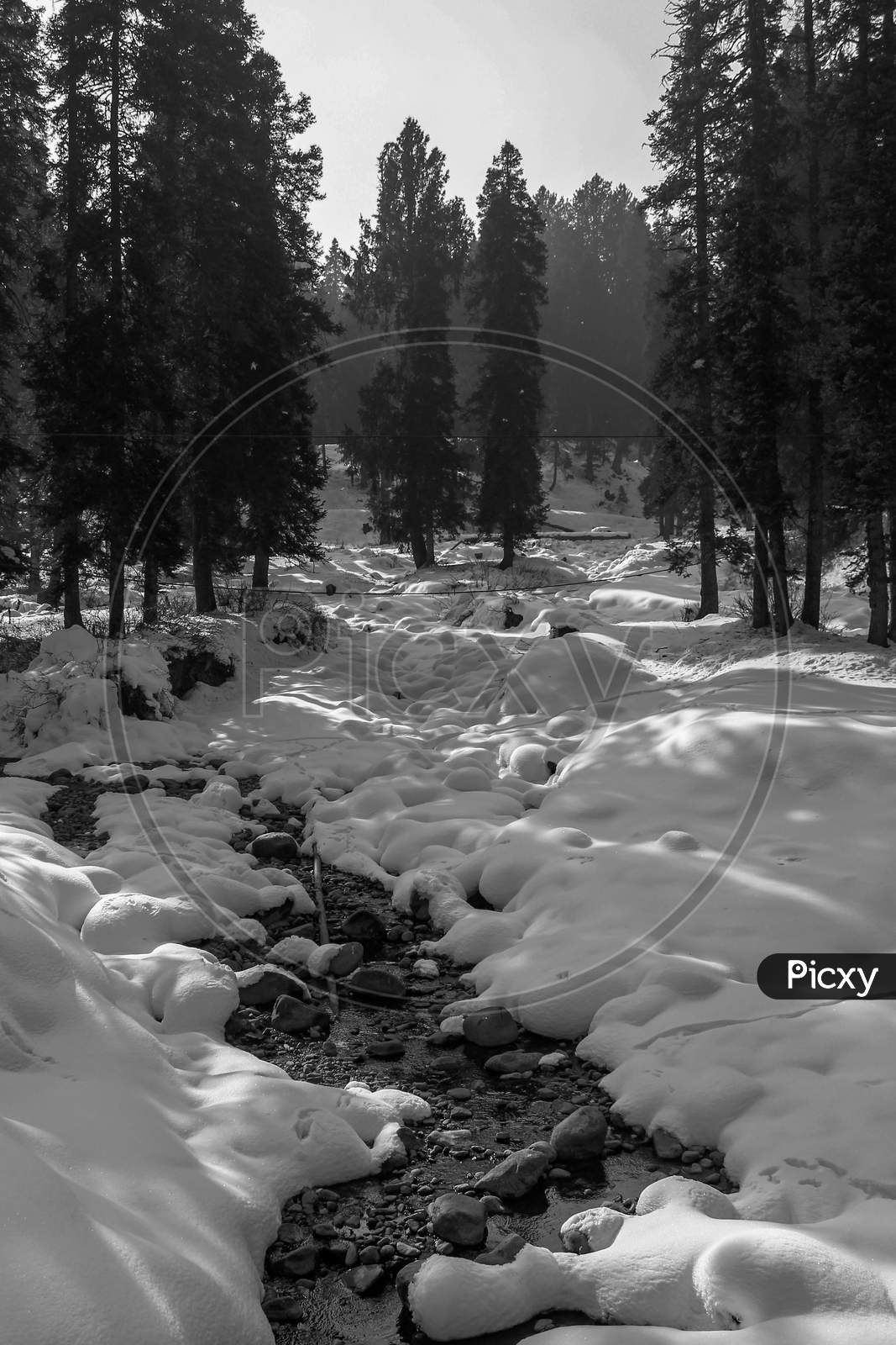 A Downstream Brook Out Of The Woods And Land Covered In Snow.