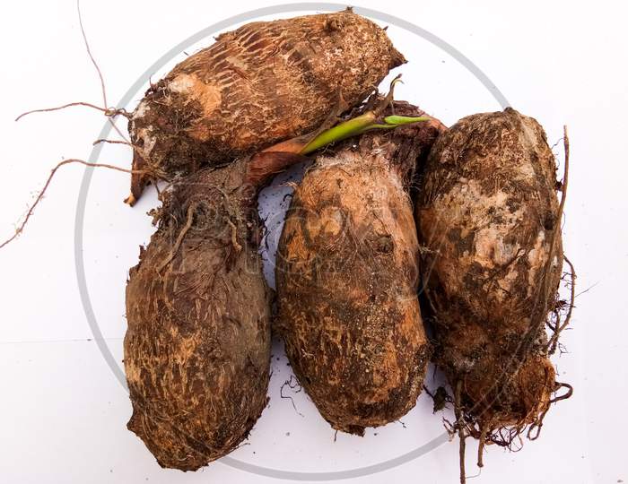 Vibrant image of hairy rhizomes of Colocasia esculenta placed in a white background