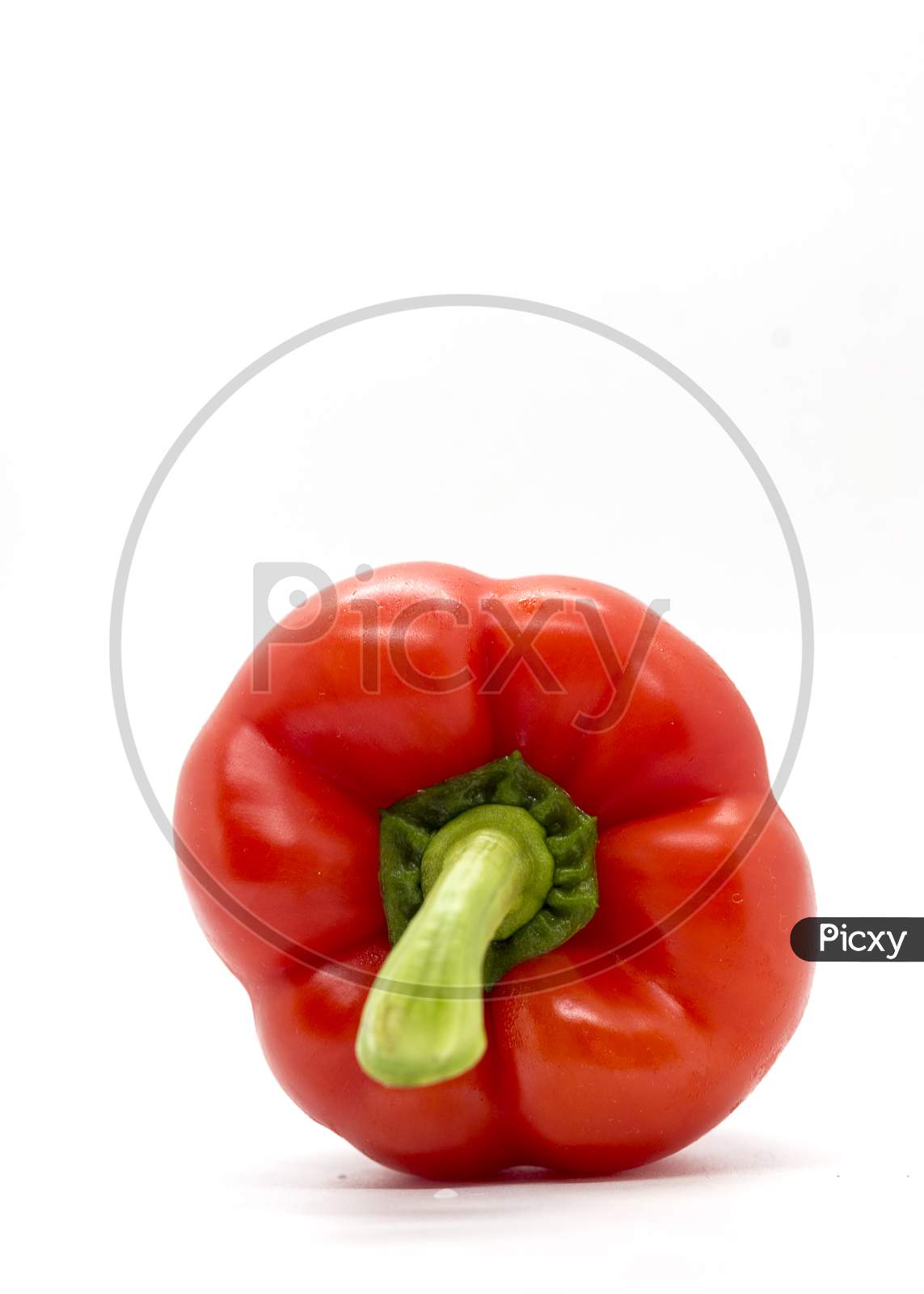 Close up of a fresh organic red bell pepper with white background.