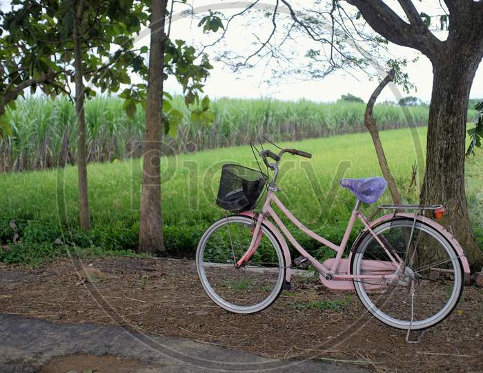 Feminine bikes are parked on rural road