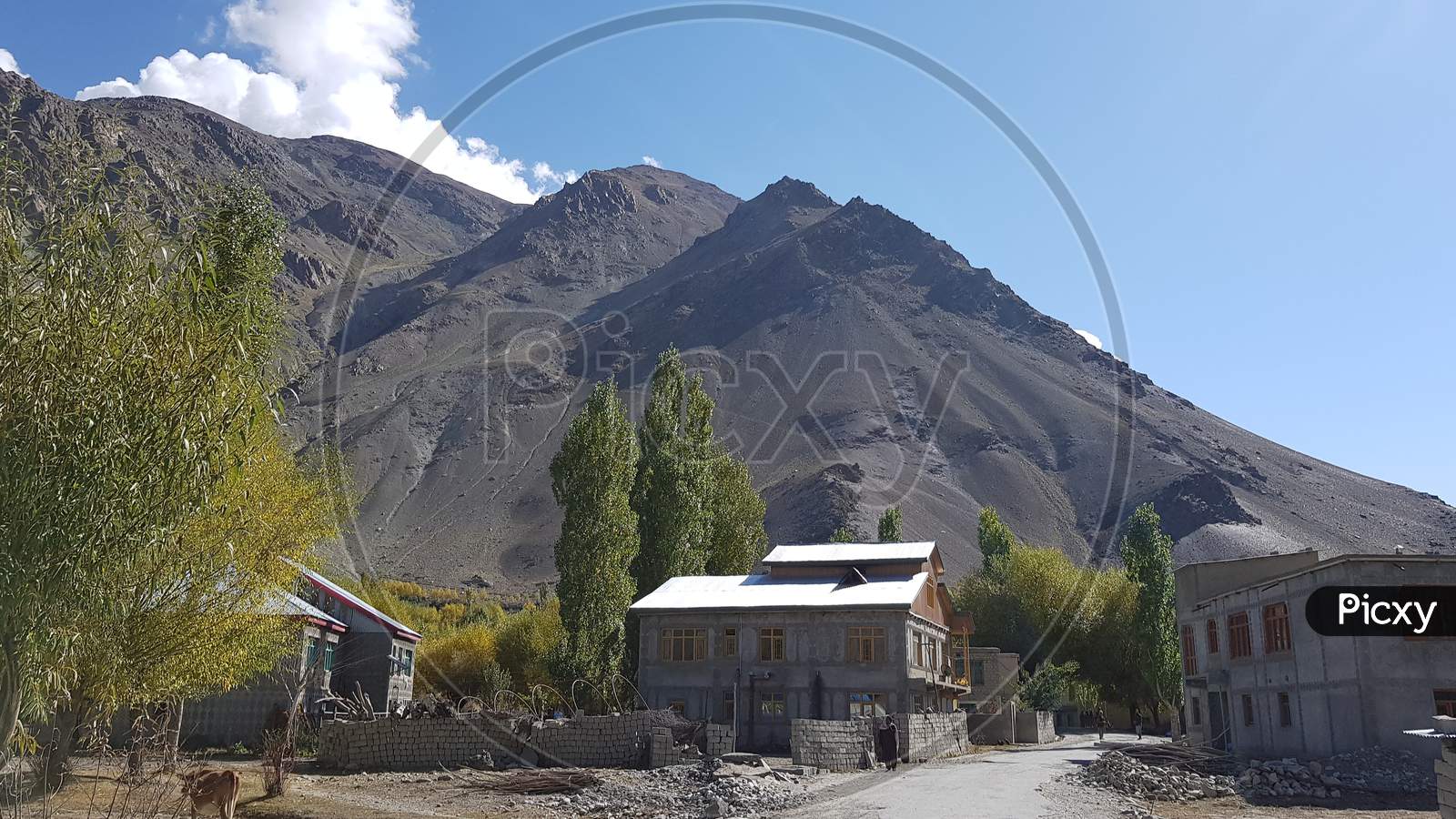 House Of A Kargil Resident In Jammu Kashmir And Ladakh Union Territory Hills Road Trees Are Also In Frame July 2019