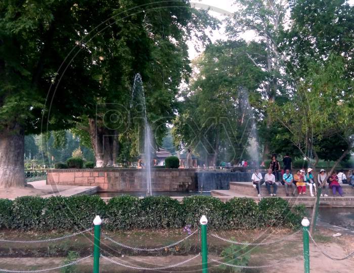 A Public Park