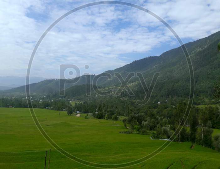 Village View And Paddy Fields