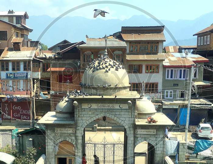 Birds Fly And View Of Old Srinagar City