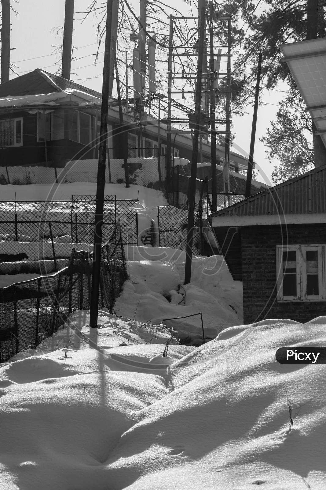 A Snowy Neighbourhood In Gulmarg, Kashmir