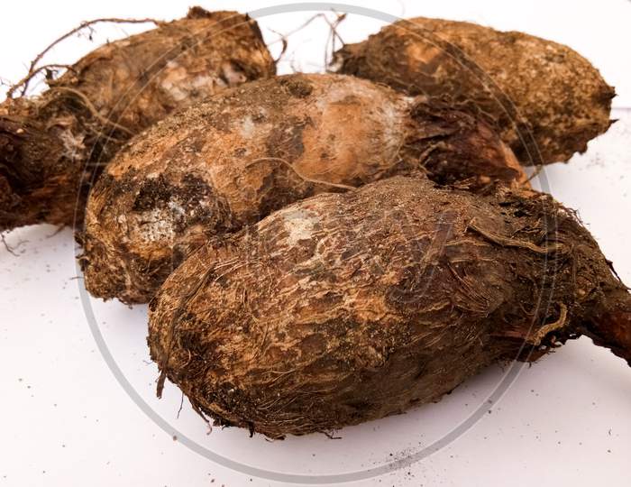 Vibrant image of hairy rhizomes of Colocasia esculenta placed in a white background