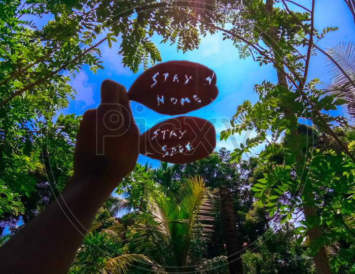 stay home stay safe carved on a dried leaf along with an closed lock placed towards bright blue sky and green background , corona pandemic lock down concept,home quarantine