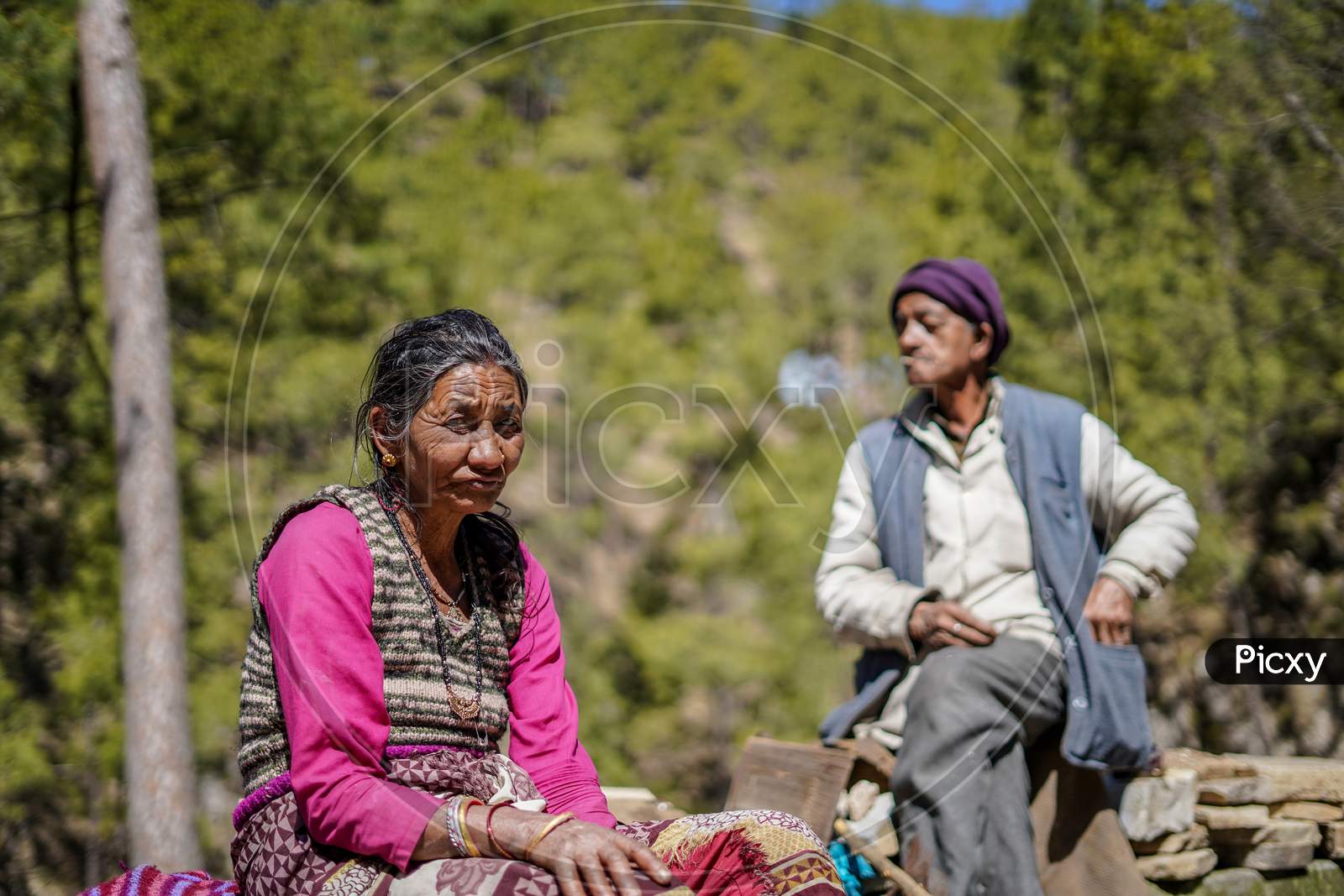 Almora, Uttrakhand / India- June 4 2020: A Photo Of An Old Aged Couple Sitting In A Forest, Man Being Out Of Focus, Old Woman Is In Focus While Seeing Into The Camera.