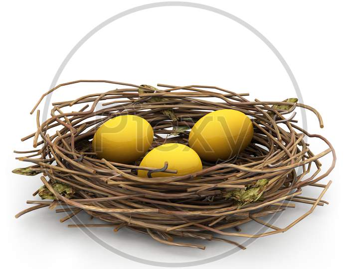 Egg And Nest