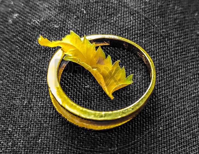 A tiny dried leaf on a beautiful golden ring.