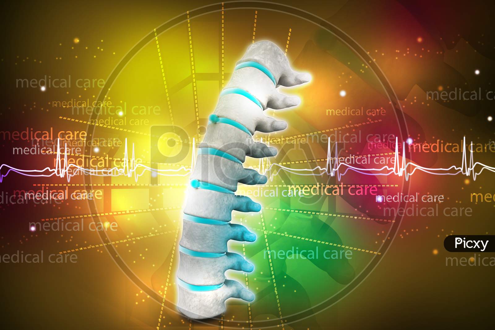 3D Part Of Spine Isolated Color Background