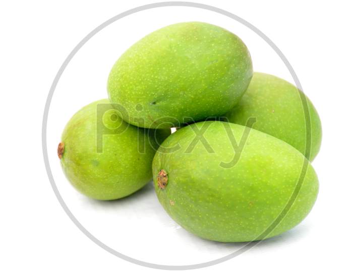 bunch the green ripe mango isolated on white background.