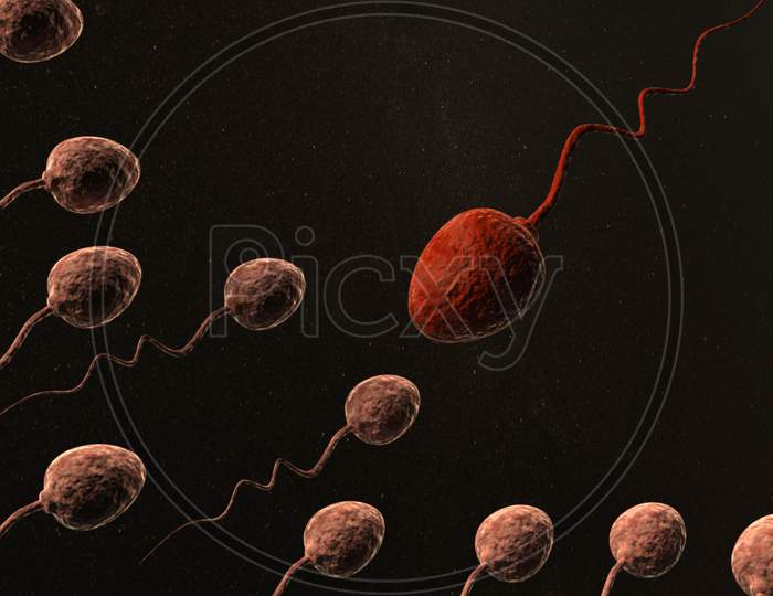 Sperm Cells And Red One Leader