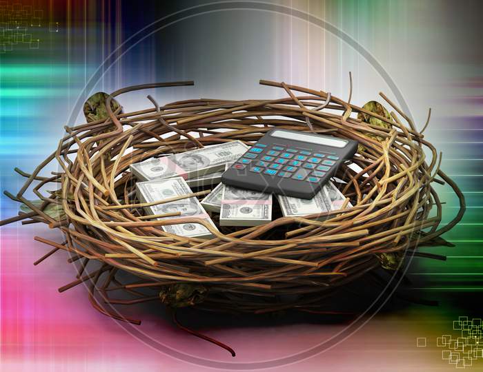 Dollar And Calculator Protected In Nest
