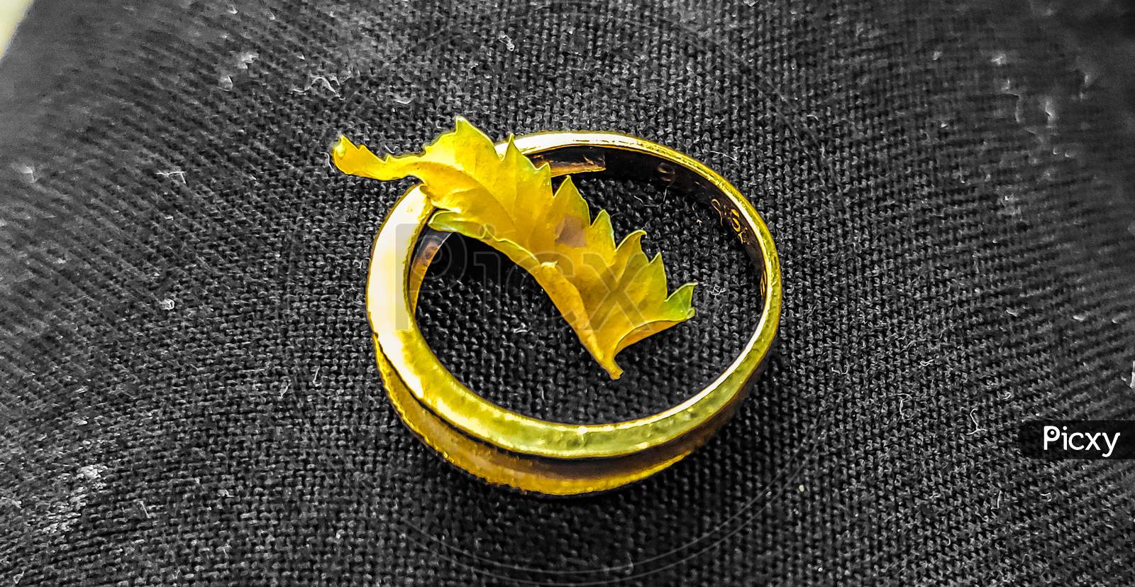 A tiny dried leaf on a beautiful golden ring.