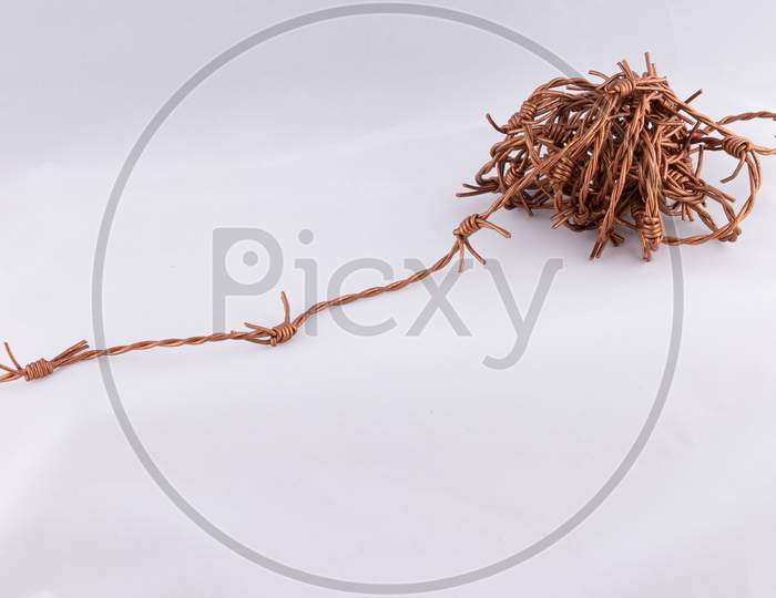 Twisted Copper Barbed Wire loosely in coil on white background with copy space