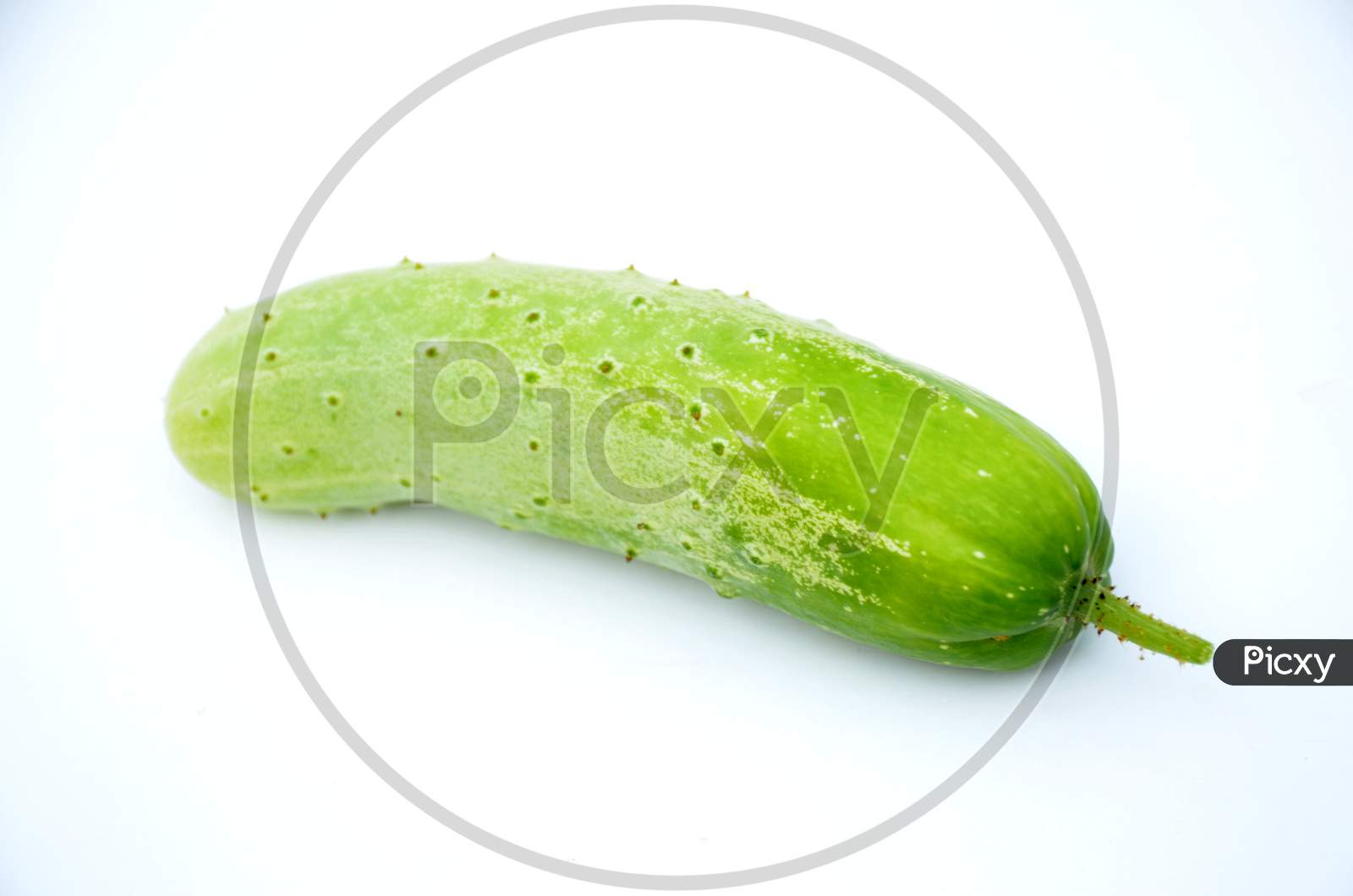 ripe green cucumber isolated on white background