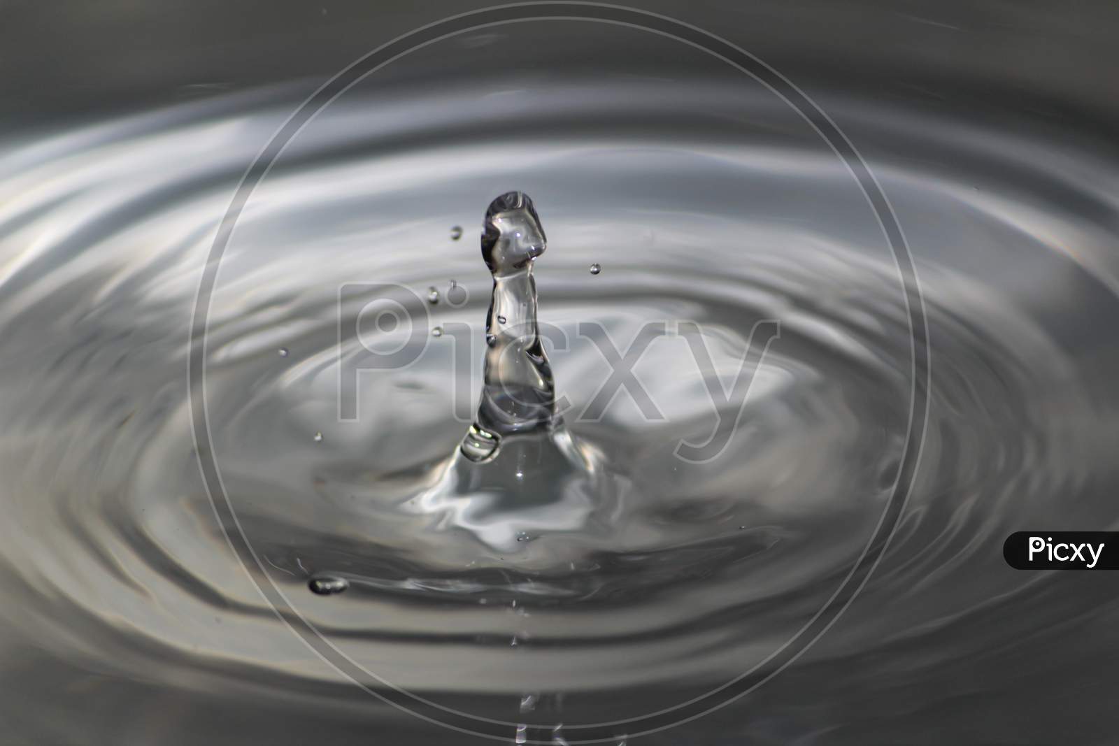 Water Drop Falling Down In A Tub Of Water