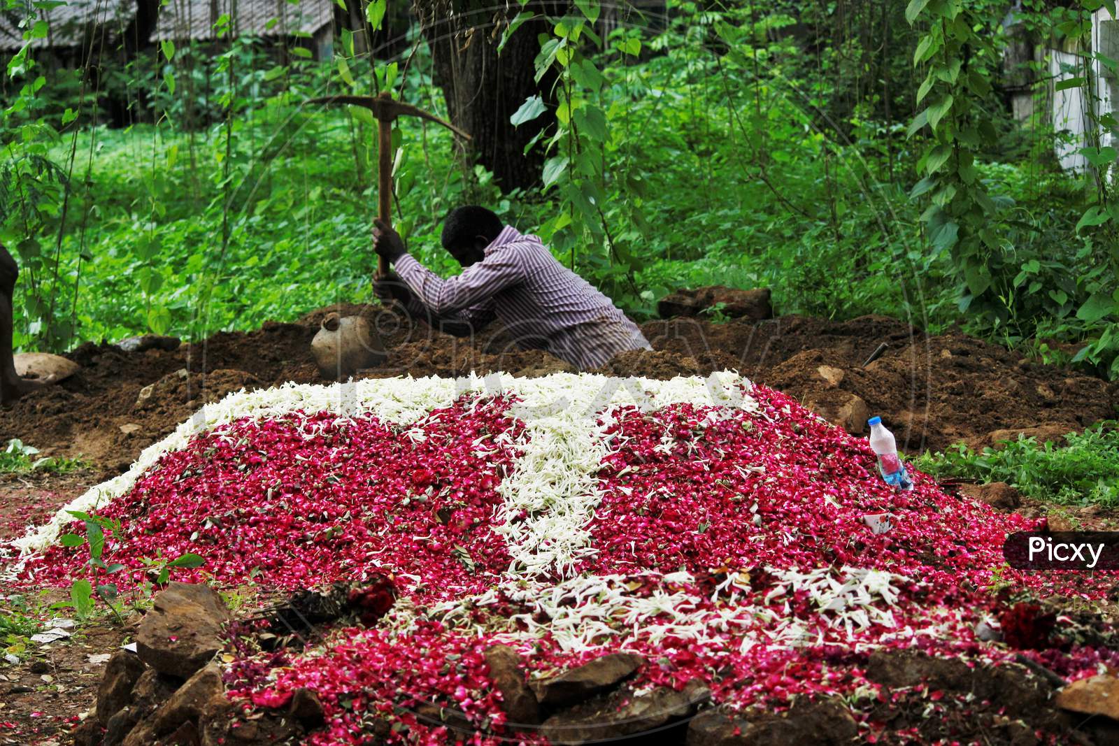 A gravedigger digs a grave for the burial of a person who died from the coronavirus disease (COVID-19) at a cemetery in Mumbai, India June 27, 2020.