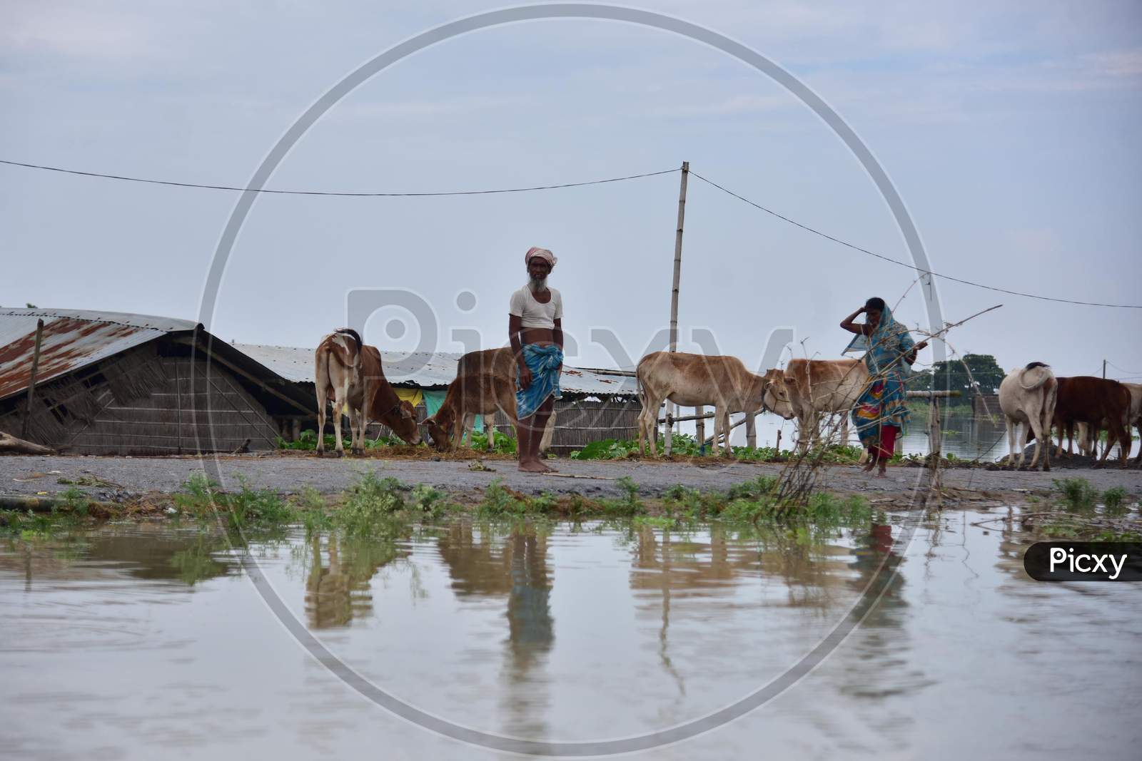 Villagers Take Shelter On A Road As Their Village Is Submerged By Flood Waters In The Flood Affected   Sildubi Village In Morigaon District Of Assam On June 29,2020.