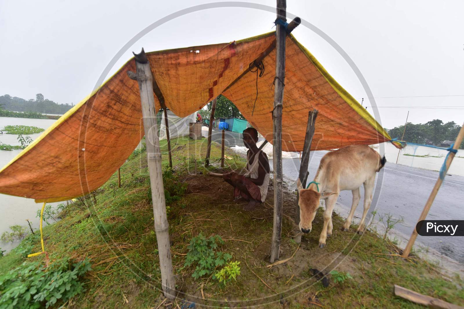 Flood Affected Villagers Take Shelter On A Makeshift Camp In Morigaon District Of Assam On June 29, 2020.