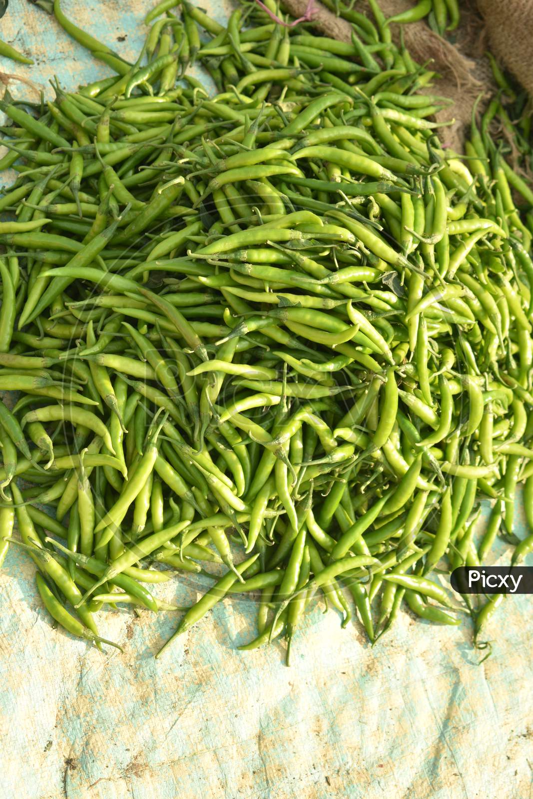 Vegetables For Sale At India.