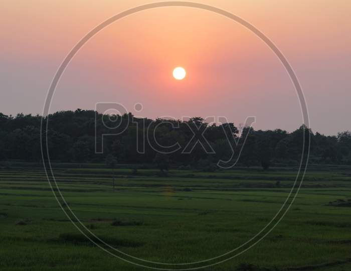 Sunset Creates A Tricolor Scene With Cultivation Field And Forest