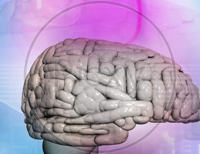 Brain Background