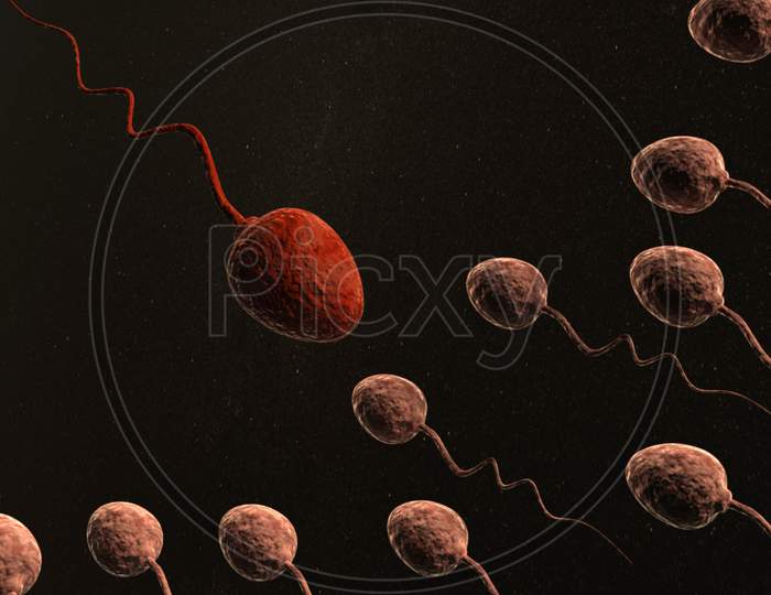 Sperm Cells And Red One Leader