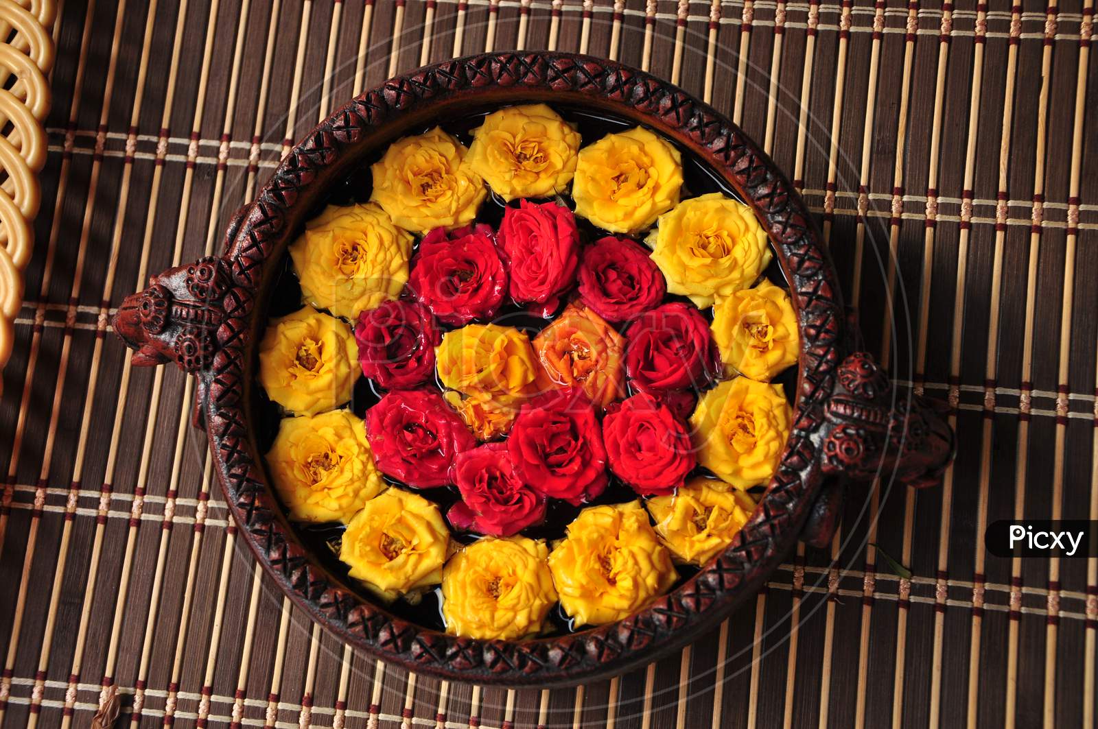 Rose Placed In A Water Bowl.