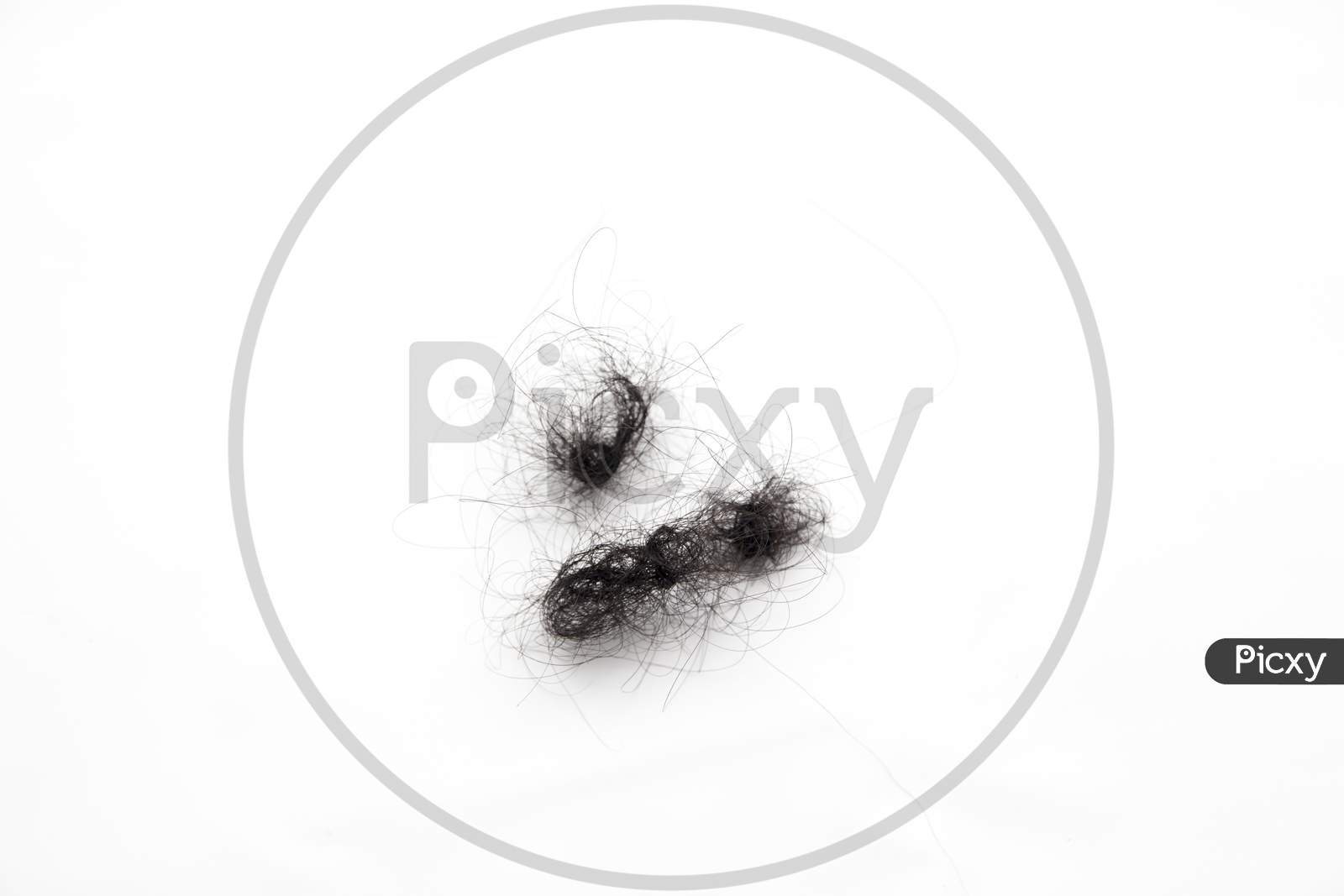 fallen hair with isolated white background