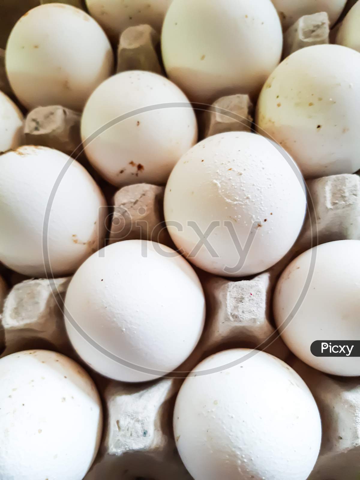 It Contains White Chicken Egg Trays. Eggs Contain A Lot Of Protein Which Is Very Beneficial For The Human Body.