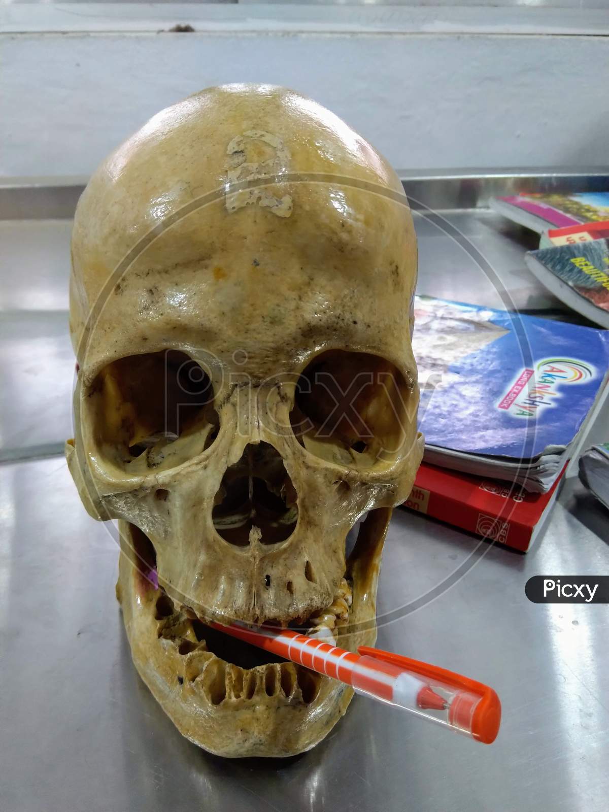 Human Skull bone looking Cool at a lab
