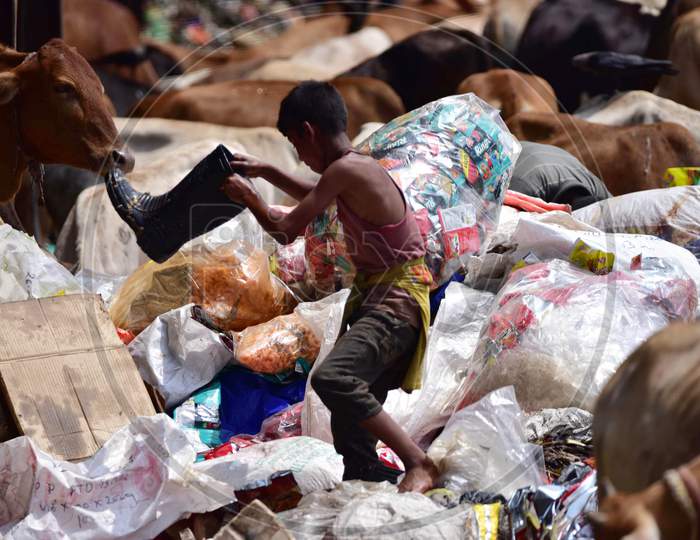 A rag picker Searches For Recyclable Materials at A Garbage Dump Near Deepor Beel Wildlife Sanctuary On The Outskirts Of Guwahati On June 4,2020.