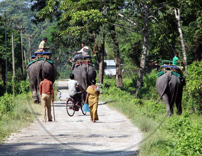 Local People on Elephants walking on a Path