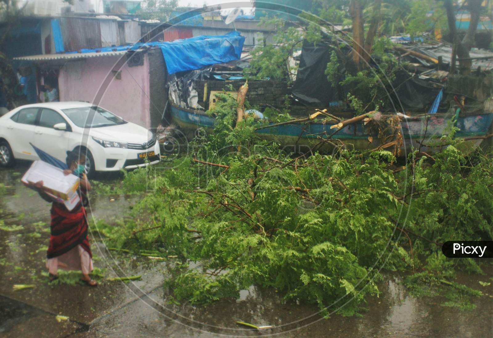 A man walks past a tree fallen on a boat as cyclone Nisarga makes its landfall on the outskirts of the city, in Mumbai, India, June 3, 2020.