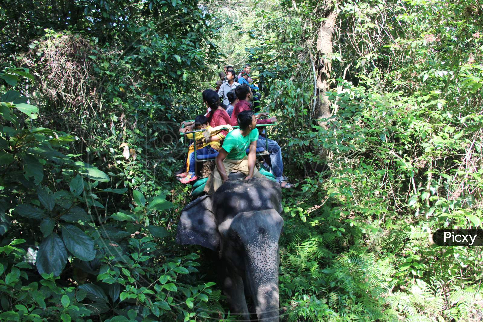 Visitors exploring a Zoo on an Elephant / Elephant Ride