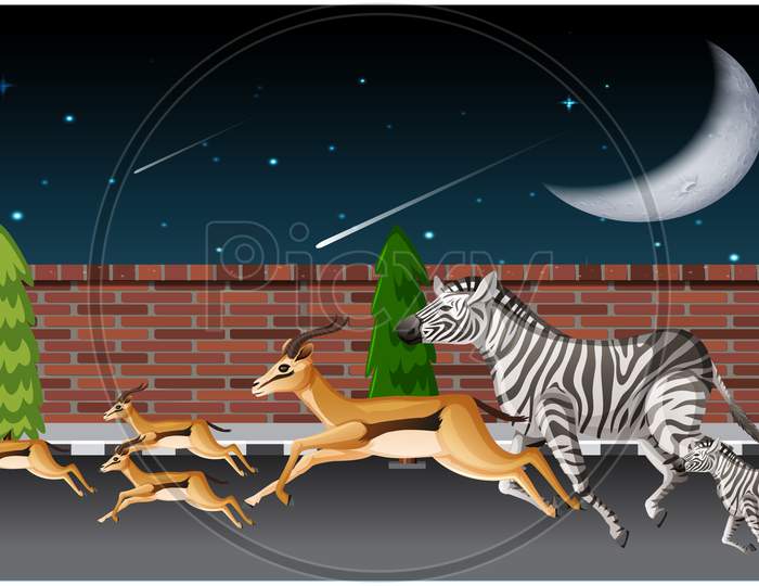 Several Animals Are Running On Road In Night