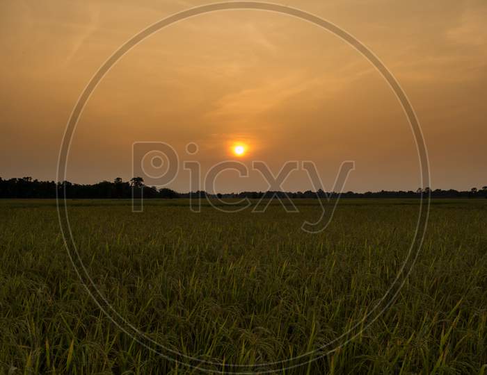Sunset  or Sunrise View at Kaziranga National Park of Assam, India